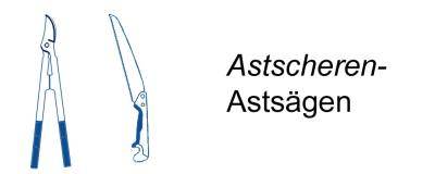 Astscheren + Asts&auml;gen