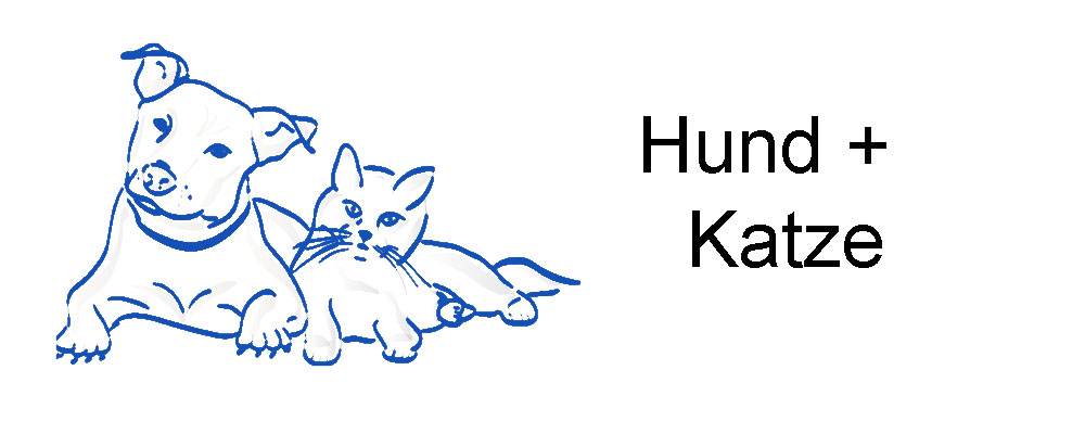 Hund + katze