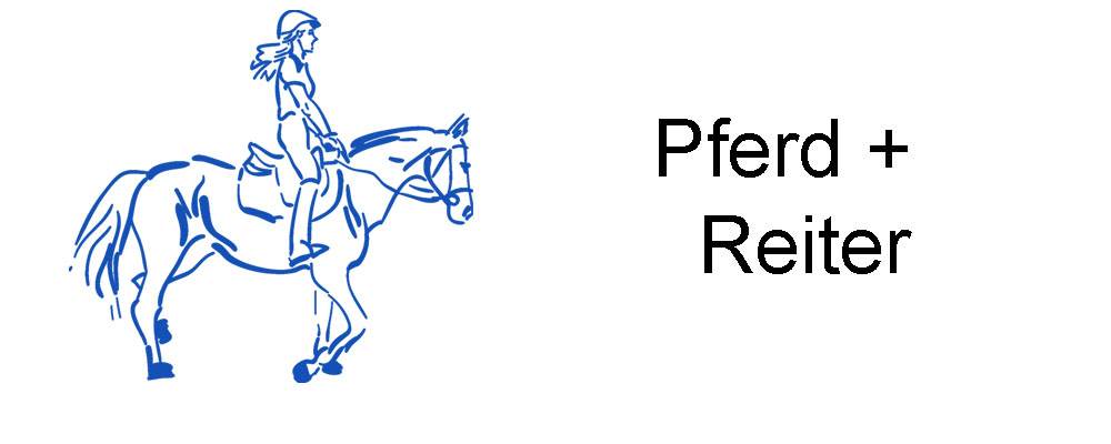 Pferd + Reiter