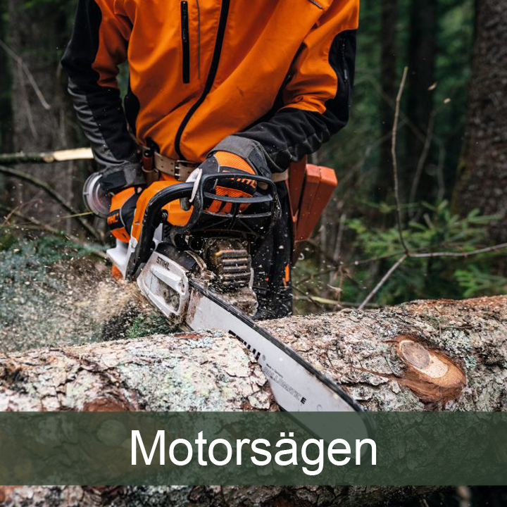 Motorsägen / Kettensägen: Ein Mann zerlegt einen Baum im Wald mit seiner Motorsäge.