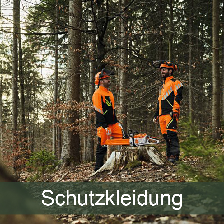 Schutzkleidung: Zwei Männer stehen im Wald in Forstkleidung. Ihre Motorsägen liegen auf einem Baumstumpf.